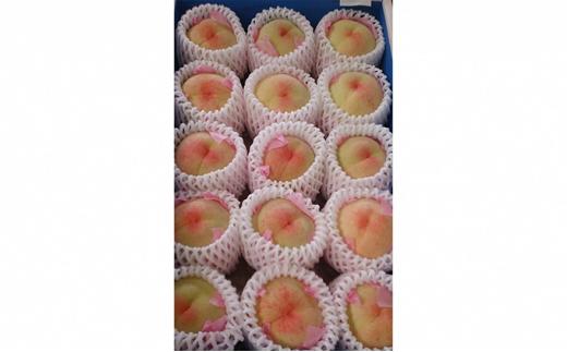 岡山の桃　白桃14～16玉（約3.5kg）2026年発送