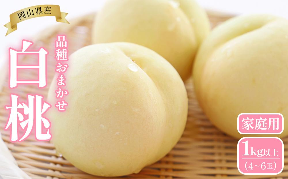 桃 2026年  岡山県産 家庭用 白桃 1kg以上（4～6玉） 品種おまかせ＜6月下旬以降発送＞