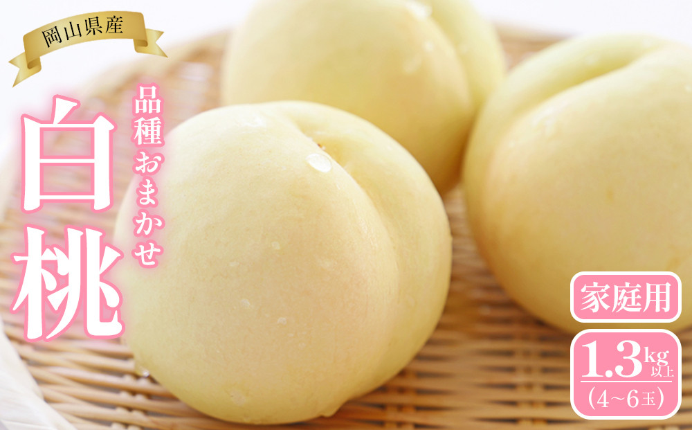桃 2026年  岡山県産 家庭用 白桃 1.3kg以上（4～6玉） 品種おまかせ＜6月下旬以降発送＞
