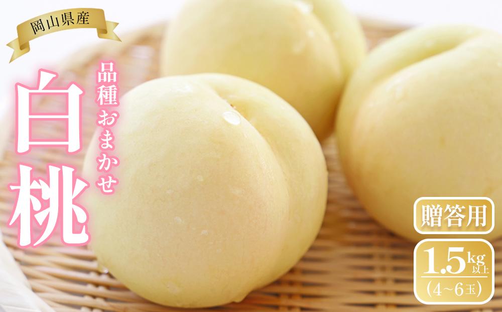 桃 2025年  岡山県産 贈答用 白桃 1.5kg以上（4～6玉） 品種おまかせ＜6月下旬以降発送＞