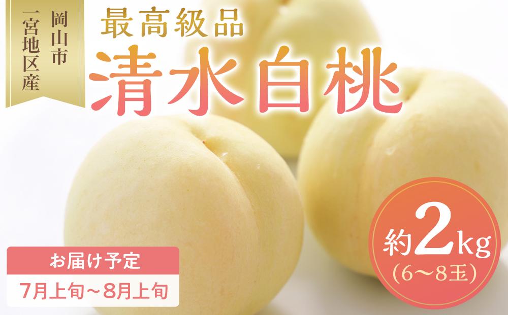 桃 2026年 清水 白桃 6～8玉入 約2.0kg 岡山市一宮地区産 もも モモ フルーツ 果物 ギフト