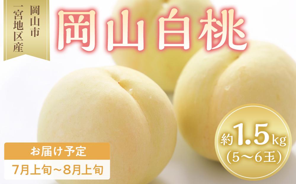 桃 2026年 岡山 白桃 5～6玉入 約1.5kg 岡山市一宮地区産 もも モモ フルーツ 果物 ギフト