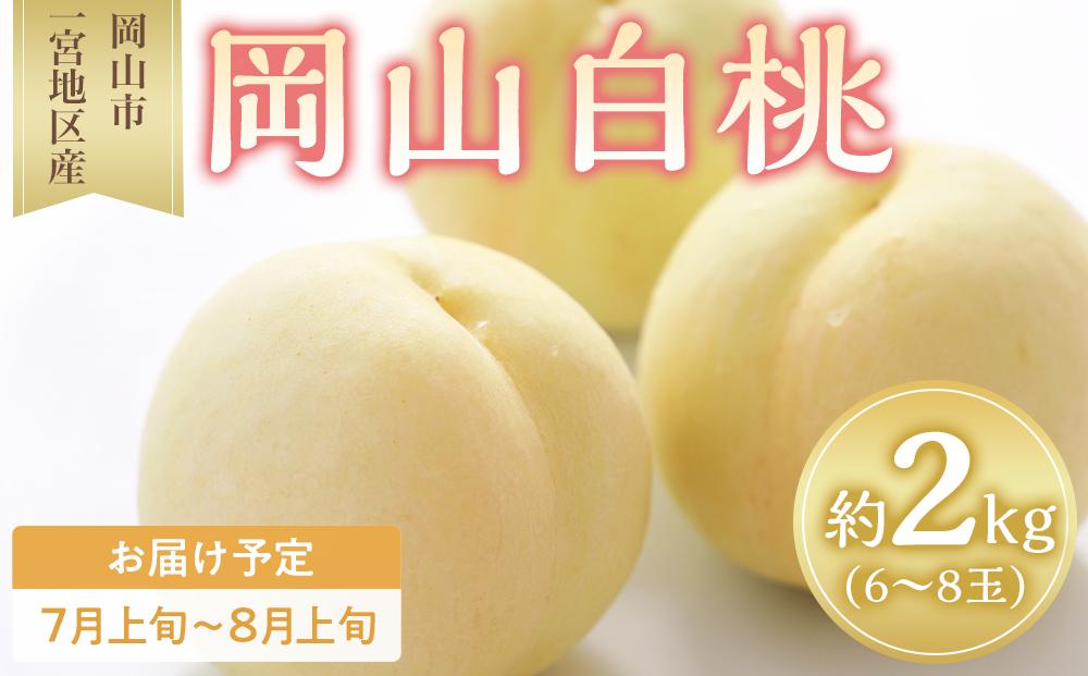桃 2026年 岡山 白桃 6～8玉入 約2.0kg 岡山市一宮地区産 もも モモ フルーツ 果物 ギフト
