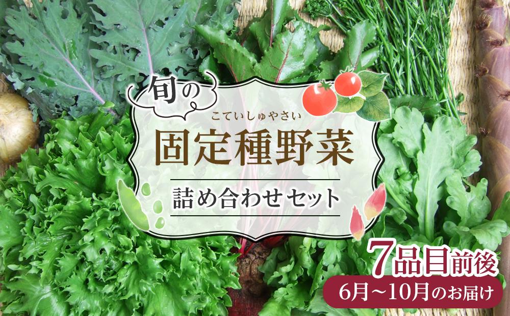 野菜 旬の「固定種」野菜 バイオダイナミック農業 7品目前後（6月～10月のお届け）冷蔵配送