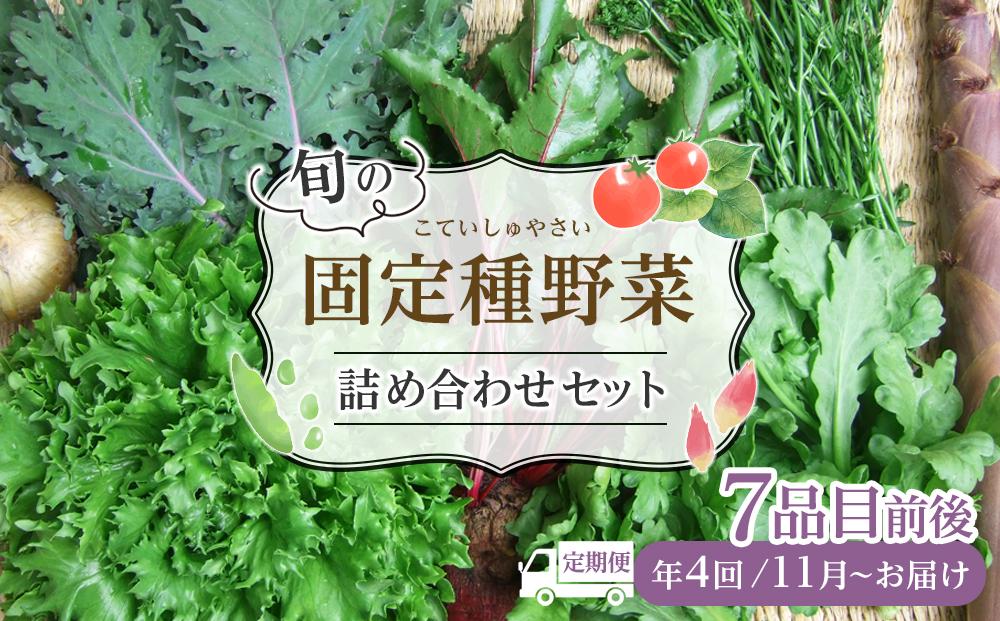 野菜［2025年 4回定期便］ 旬の固定種野菜 バイオダイナミック農業  7品目前後（11月～2月のお届け）常温配送