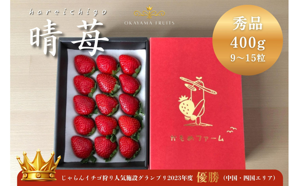かもめファーム 晴苺 化粧箱 400g（9～15粒）岡山県産 いちご 秀品