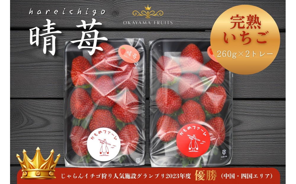 かもめファーム 完熟いちご 晴苺 黒トレー260g×2 岡山県産 いちご