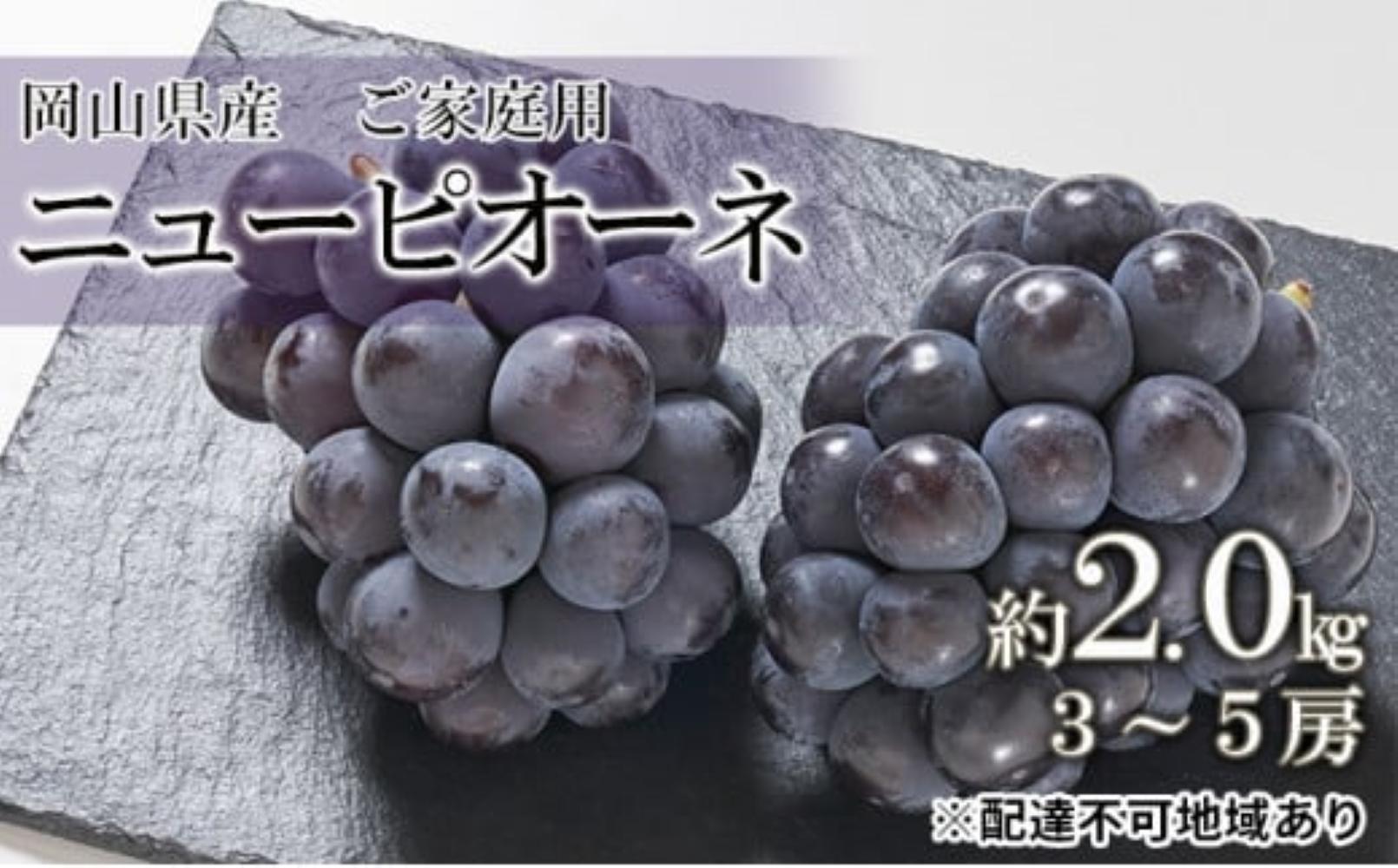 ぶどう 2026年  ご家庭用 ニューピオーネ 約2.0kg（3～5房）（クール便）