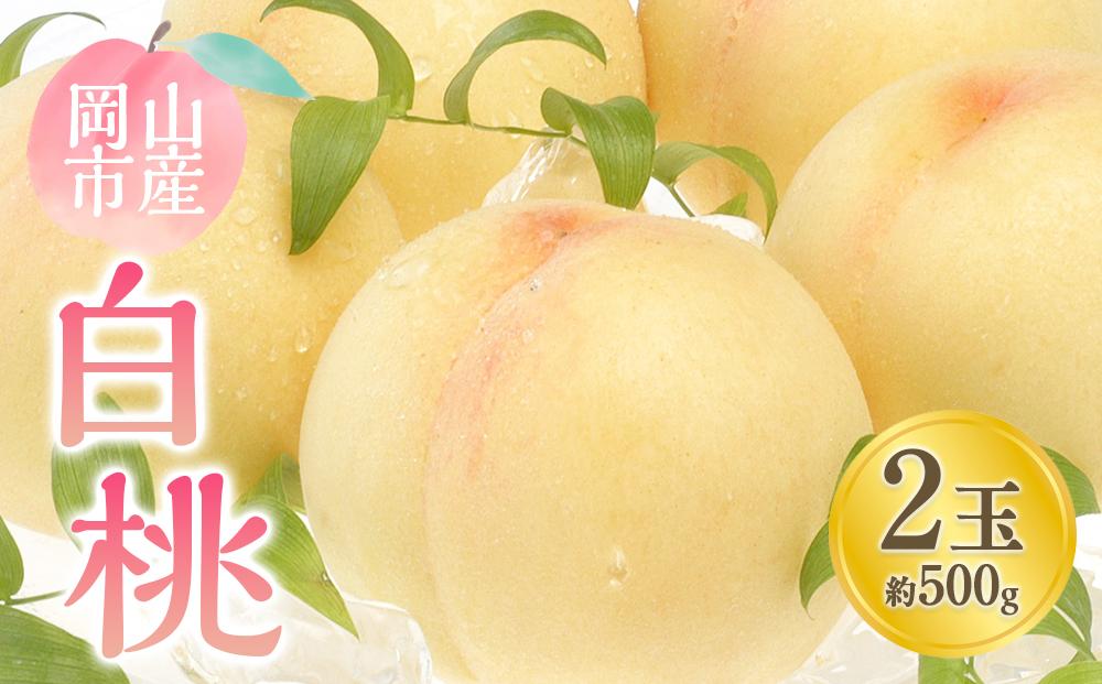 桃 2026年  白桃 2玉 合計約500g もも モモ 岡山市産 国産 フルーツ 果物 ギフト