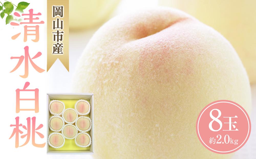 桃 2026年  清水 白桃 8玉 合計約2.0kg もも モモ 岡山市産 国産 フルーツ 果物 ギフト