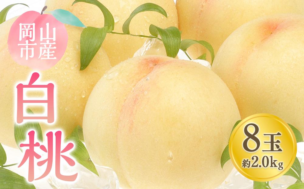 桃 2026年  白桃 8玉 合計約2.0kg もも モモ 岡山市産 国産 フルーツ 果物 ギフト