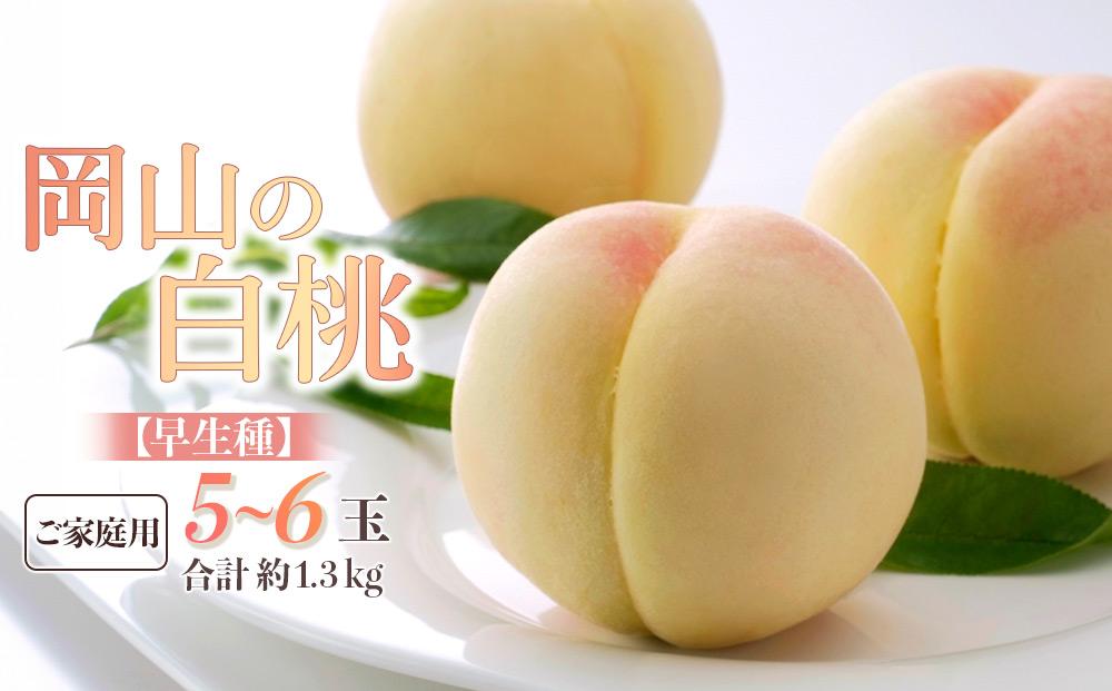 桃 2026年 ご家庭用 岡山の 白桃 早生種 5～6玉 合計約1.3kg もも モモ 岡山県産 国産 フルーツ 果物 ギフト