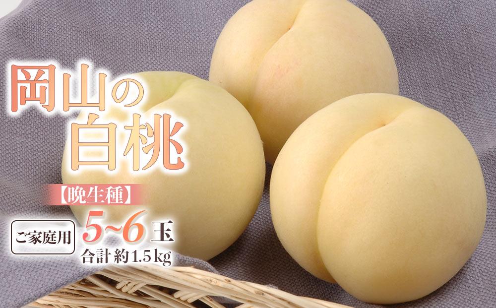 桃 2026年 ご家庭用 白桃（晩生種） 5～6玉 合計約1.5kg もも モモ 岡山県産 国産 フルーツ 果物 ギフト