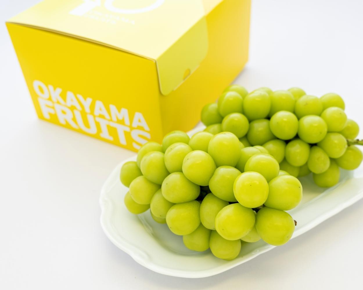 ぶどう 2026年 ご家庭用 岡山県産 シャインマスカット 1.2kg（2～3房）（クール便）