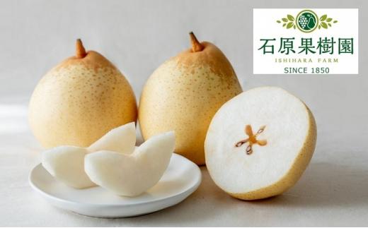 梨 2025年  備前乙女梨（鴨梨） 5～6玉入り（3kg以上）贈答箱 ナシ なし 岡山県産 国産 フルーツ 果物 ギフト 石原果樹園