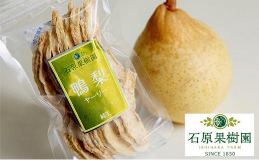石原果樹園 純生 ヤーリー梨 ドライフルーツ 10袋（1袋30g）
