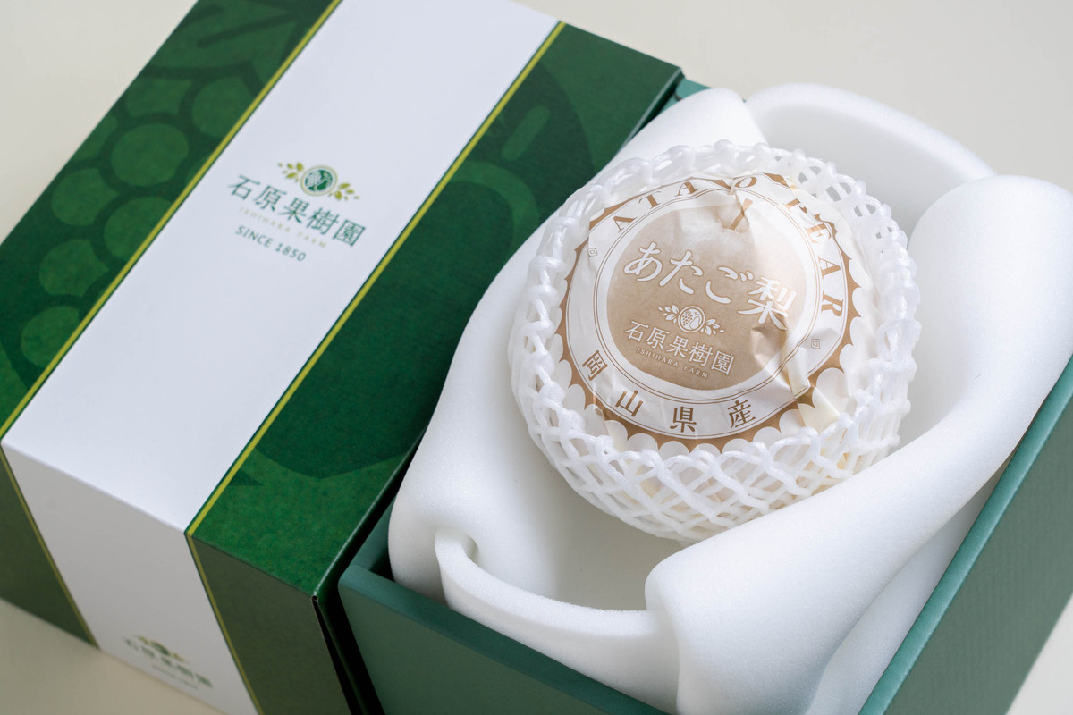 梨 2026年  あたご梨 1玉（約1.1kg） 贈答箱赤秀【ナシ なし 岡山県産 国産 フルーツ 果物 ギフト 石原果樹園】