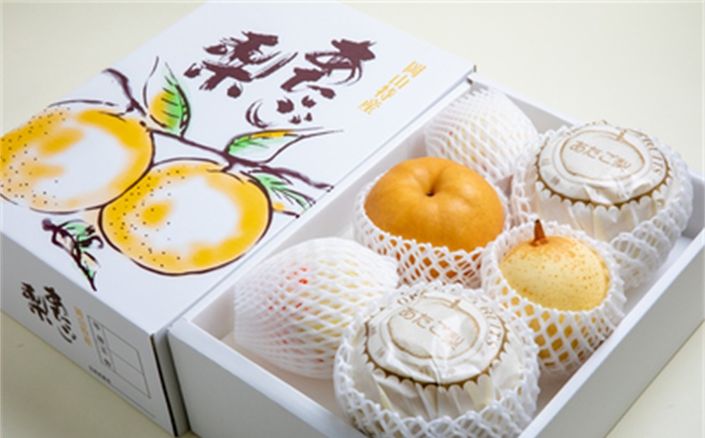 梨 2026年  家庭用  あたご梨（2～3玉）・ヤーリ― （3～7玉） 詰合せ計約4kg 箱青秀 【岡山県産 フルーツ ギフト 石原果樹園】