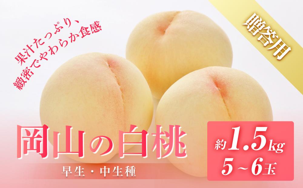桃 2026年 6月下旬から発送 贈答用 岡山の 白桃（早生、中生種）約1.5kg 5～6玉 もも モモ フルーツ 果物 岡山市 一宮地区産 国産 赤木農園