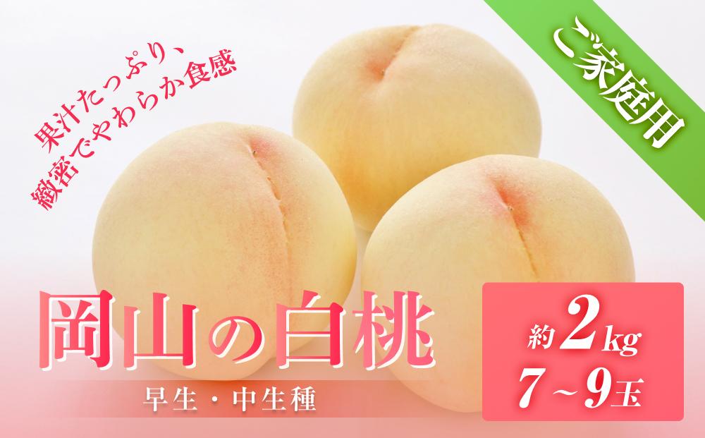 桃 2026年6月下旬から発送 ご家庭用 岡山の 白桃（早生、中生種）約2.0kg 7～9玉 もも モモ フルーツ 果物 岡山市 一宮地区産 国産 赤木農園