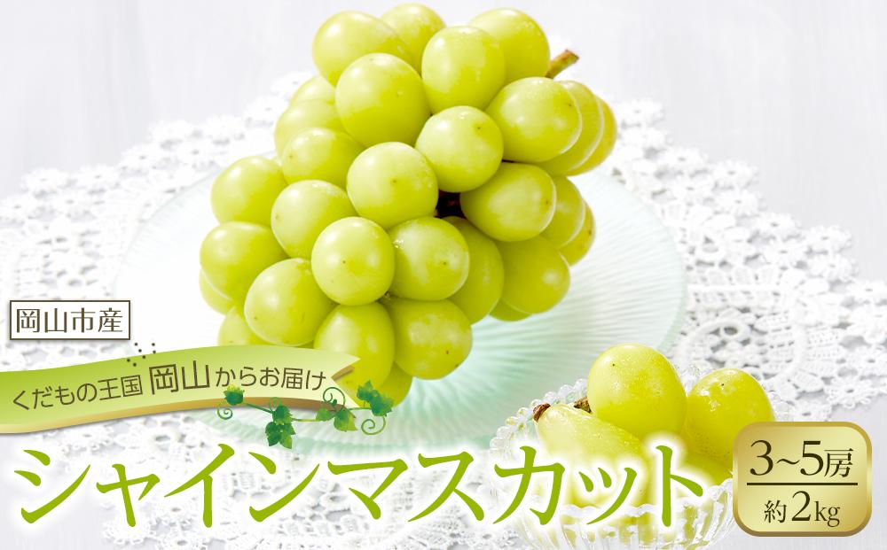 ぶどう 2026年 シャイン マスカット 3～5房 合計約2kg  種無し ブドウ 葡萄 岡山市産 国産 フルーツ 果物 渡邊農園