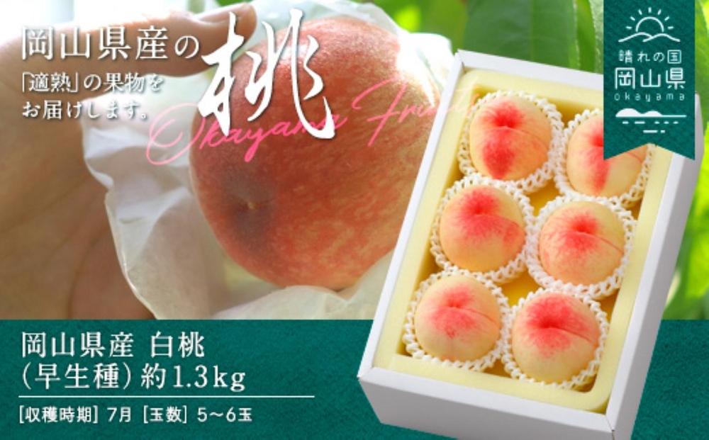 桃 2026年 岡山県産 白桃（早生種） 約1.3kg 5～6玉（クール便）