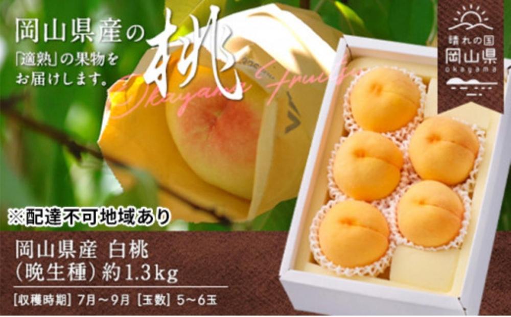 桃 2026年 岡山県産 白桃（晩生種） 約1.3kg 5～6玉（クール便）