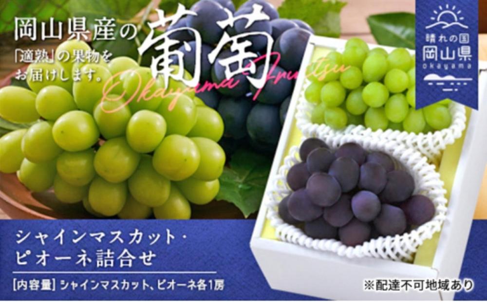 ぶどう 2026年 シャインマスカット・ピオーネ詰合せ 各1房（クール便）