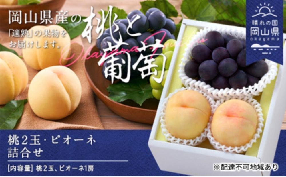 桃 ぶどう 2026年 桃2玉・ピオーネ1房 詰合せ（クール便）