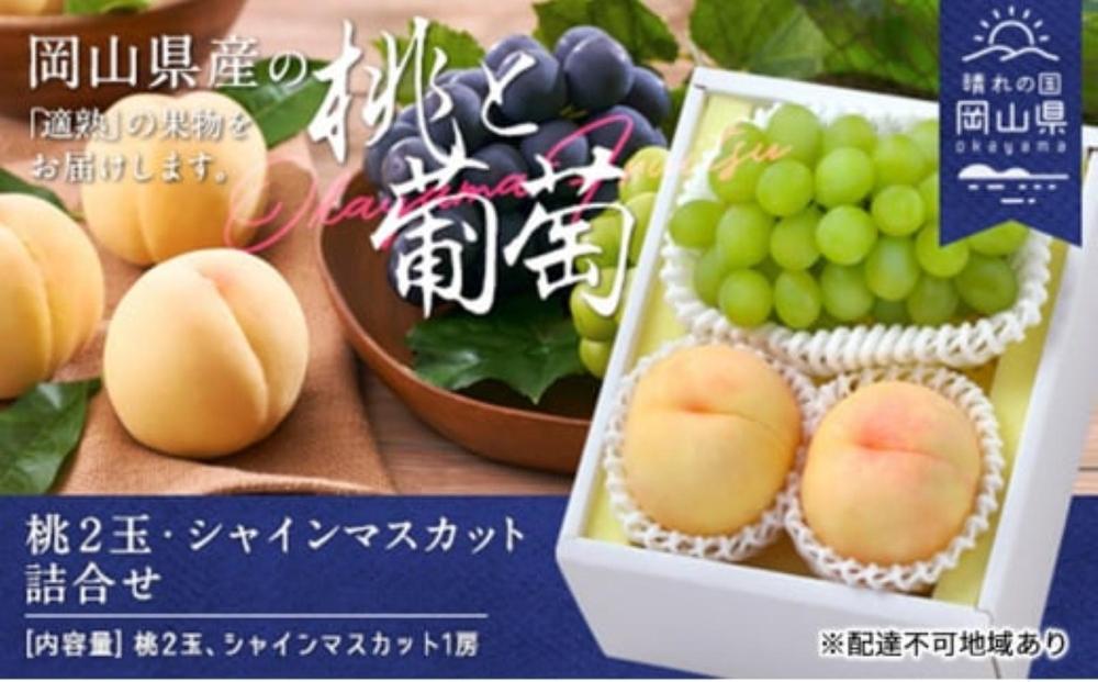 桃 ぶどう 2026年 桃2玉・シャインマスカット1房 詰合せ（クール便）