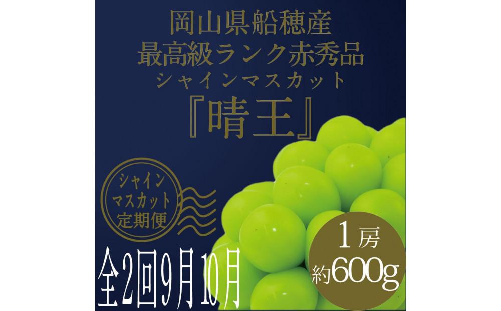 [HS]【定期便 全2回】ぶどう 2026年  9月・10月発送 最高級品シャイン マスカット 晴王 1房 約600g ブドウ 葡萄  岡山県産船穂産 フルーツ 果物 ギフト