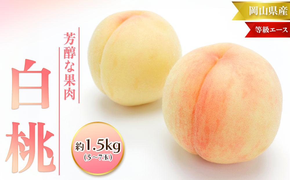 桃 2025年  白桃 等級 エース 約1.5kg 5～7玉入り もも モモ 岡山 国産 フルーツ 果物 桃茂実苑