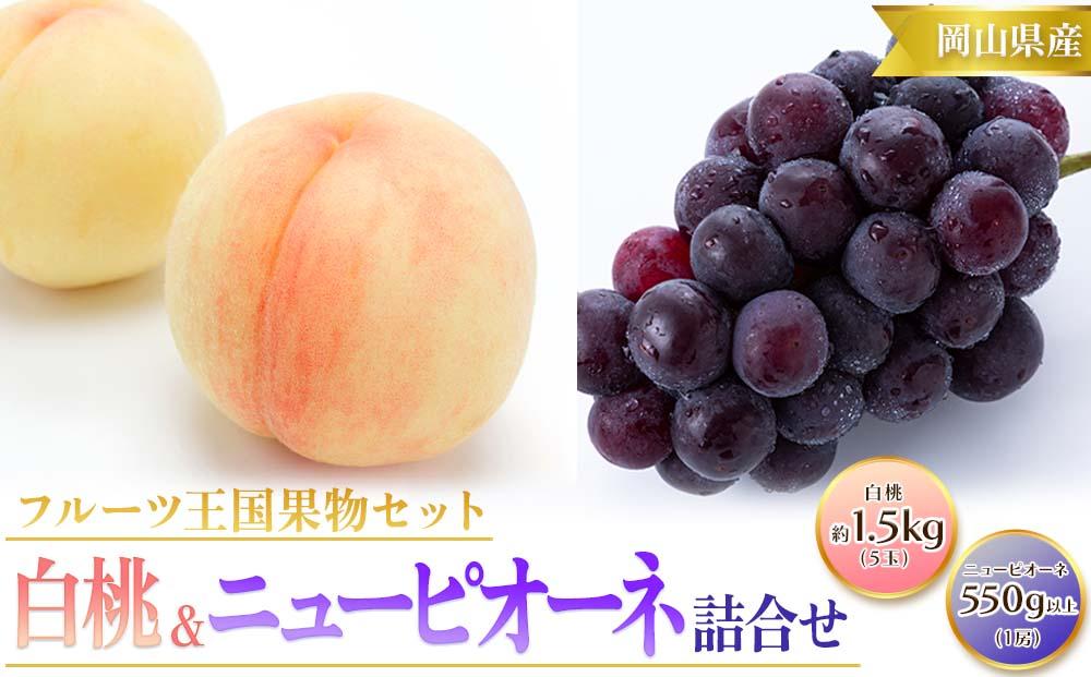 桃 ぶどう 2025年  白桃 5玉 合計約1.5kg （1玉 約300g） ニュー ピオーネ 1房 550g もも 葡萄 詰合せ 岡山 国産 フルーツ 果物 ギフト 桃茂実苑