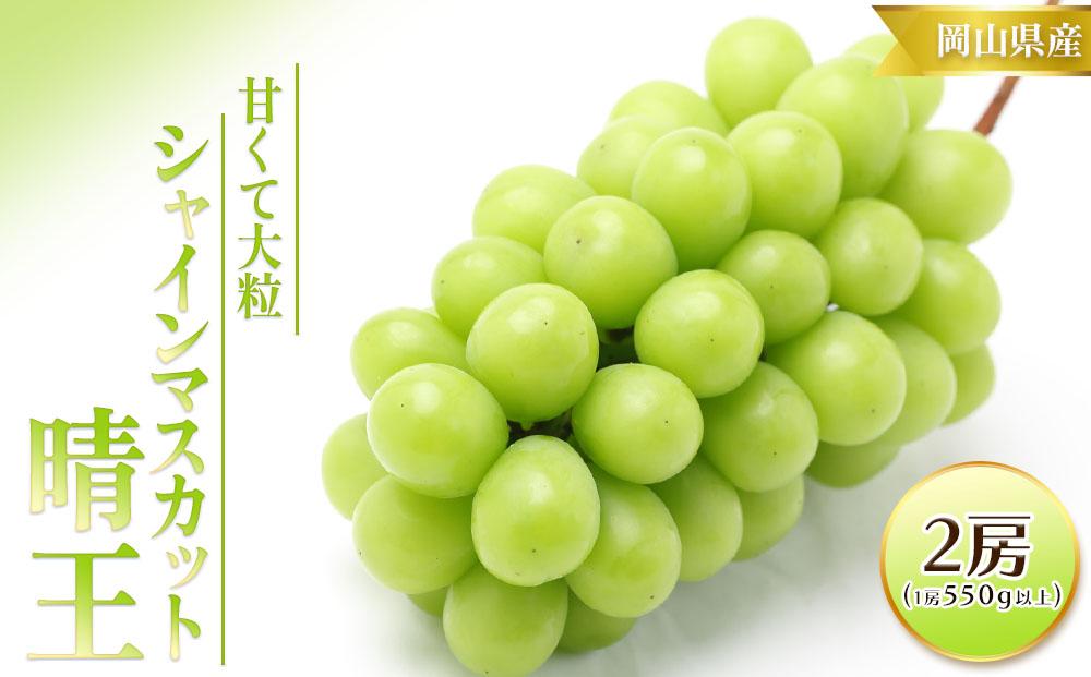ぶどう 2026年  シャイン マスカット 晴王  2房 （1房550g以上） マスカット ブドウ 葡萄  岡山県産 国産 フルーツ 果物 ギフト 桃茂実苑