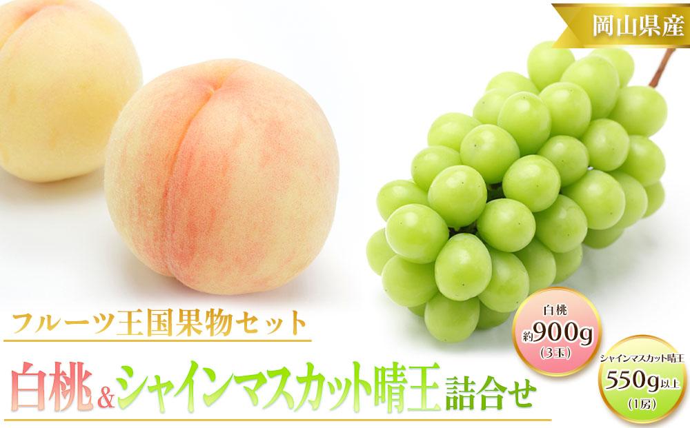 桃 ぶどう 2026年  白桃 3玉 合計約900g （1玉約300g） シャインマスカット 晴王 1房 550g以上 もも 葡萄 詰合せ 岡山 国産 フルーツ 果物 ギフト 桃茂実苑