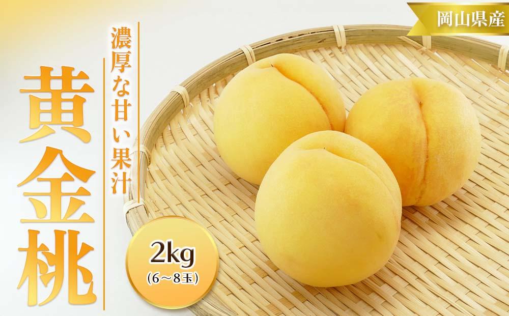桃 2025年  黄金桃 2kg 6～8玉 もも モモ 岡山 国産 フルーツ 果物 ギフト 桃茂実苑
