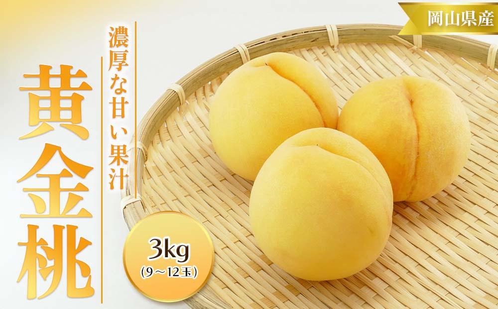 桃 2025年  黄金 桃 3kg 9～12玉 もも モモ 岡山 国産 フルーツ 果物 ギフト 桃茂実苑
