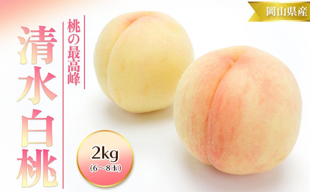 桃 2025年  清水 白桃 2kg 6～8玉 もも モモ 岡山 国産 フルーツ 果物 ギフト 桃茂実苑