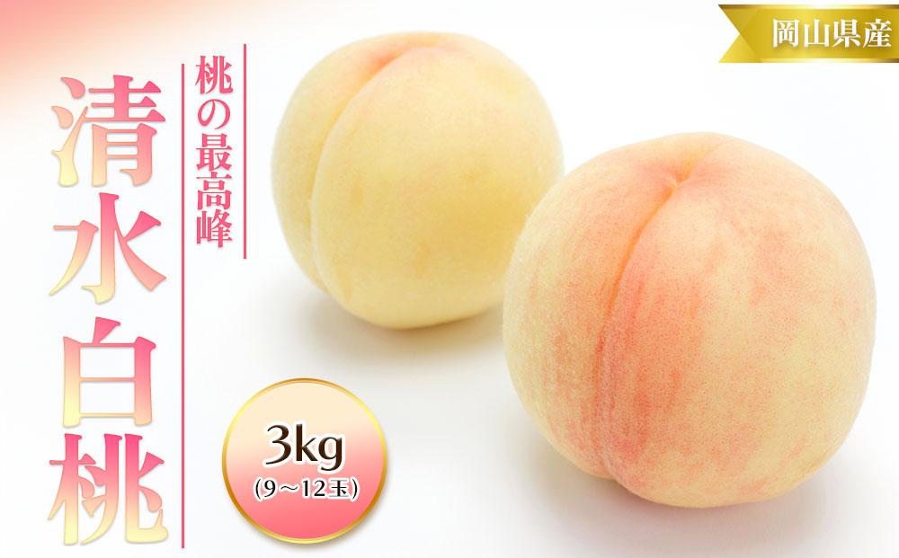 桃 2025年  清水 白桃 3kg 9～12玉 もも モモ 岡山 国産 フルーツ 果物 ギフト 桃茂実苑