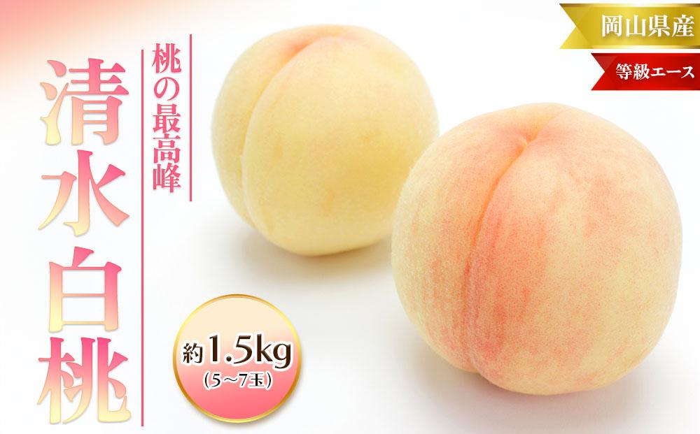 桃 2025年  清水 白桃 等級 エース 約1.5kg 5～7玉入りもも モモ 岡山 国産 フルーツ 果物 ギフト 桃茂実苑
