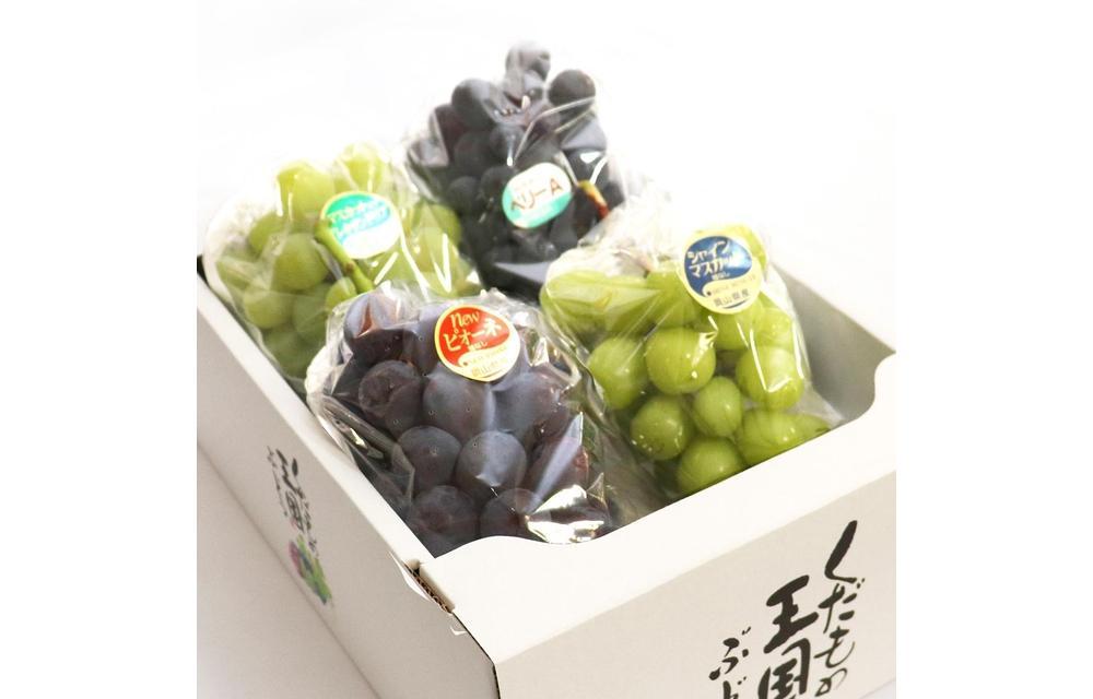 くぼ農園 ぶどう セレクション 4～5房（合計約2.0kg）