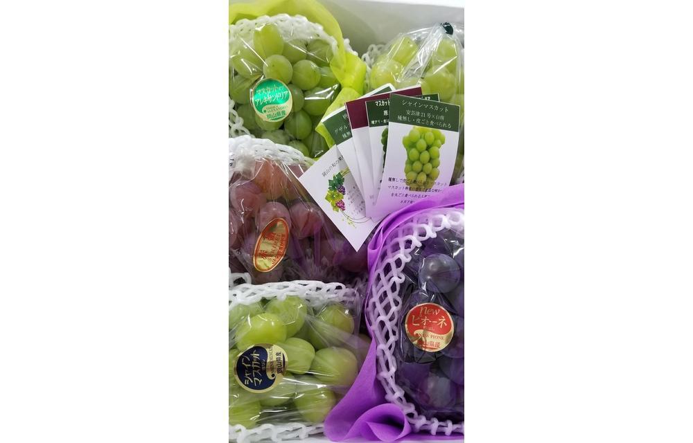 くぼ農園 ぶどう セレクション 4～5房（合計約3.0kg）