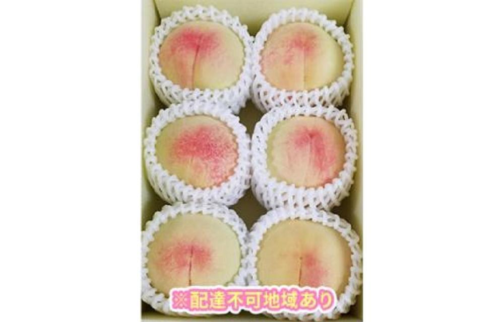 くぼ農園 白桃 セレクション 約1.5kg