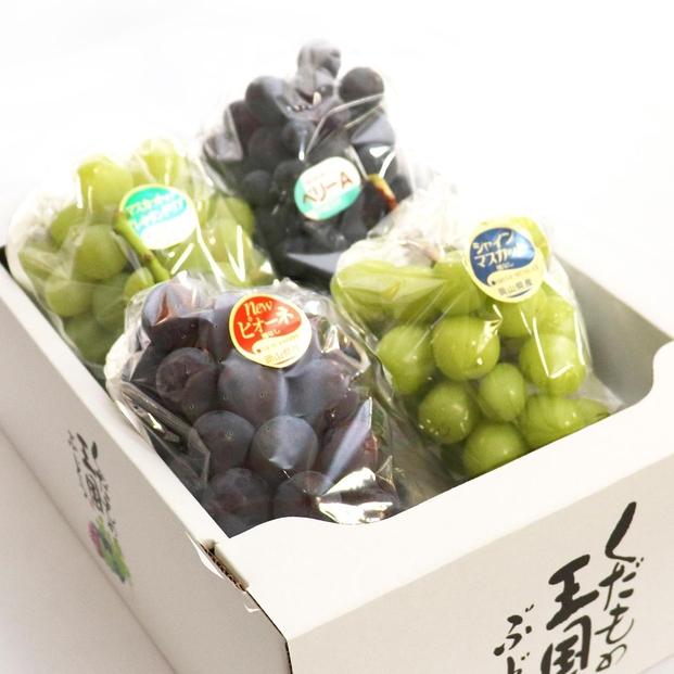2026年 くぼ農園 ぶどう セレクション 4房（合計約2.0kg）