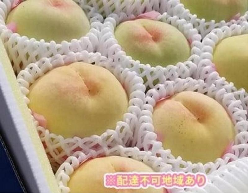 岡山市産 旬の白桃セレクション 約2kg くぼ農園