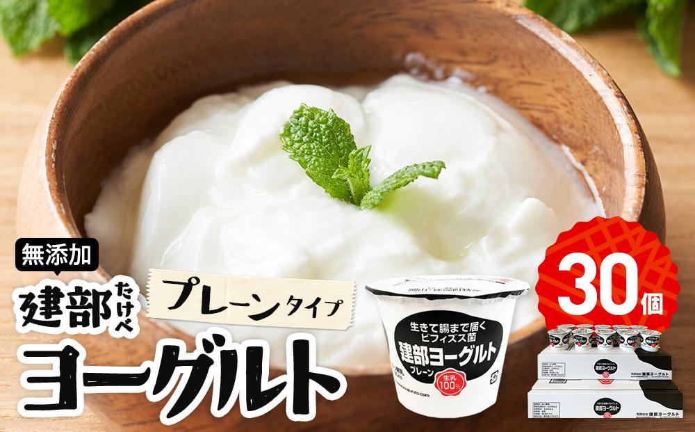 無添加　建部ヨーグルト（プレーンタイプ）30個