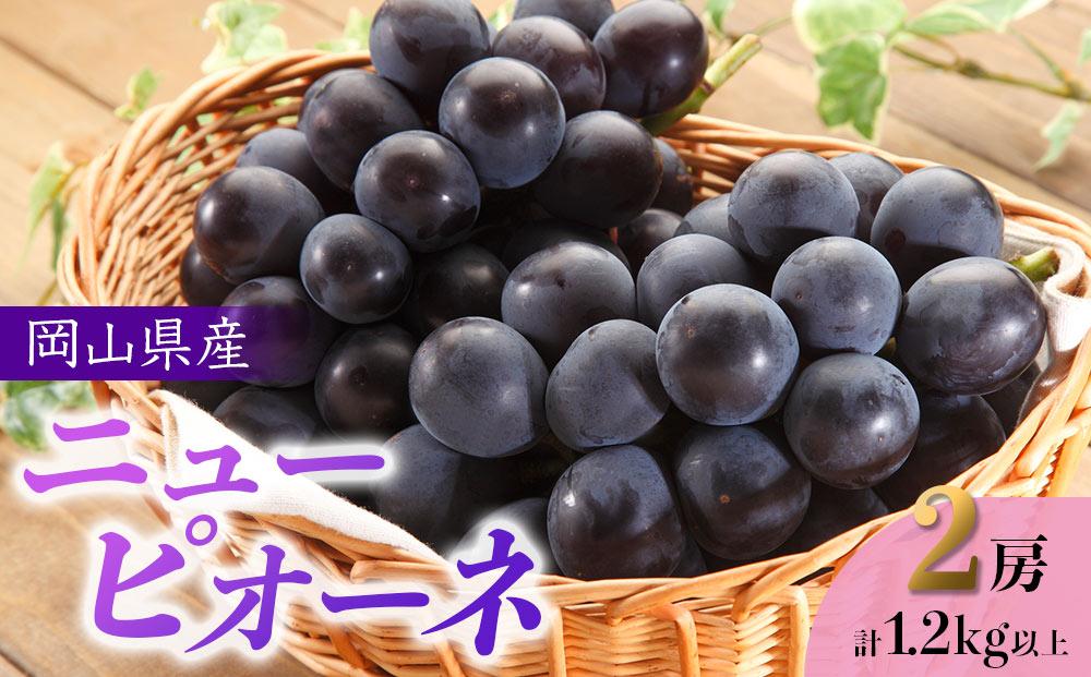 ぶどう 2026年  岡山県産 ニューピオーネ 2房 計1.2kg以上＜ジューシーで上品な甘みと高貴な香り＞