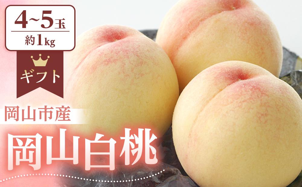 桃 2025年 先行予約 岡山 白桃 約1.0kg（4～5玉） もも モモ 岡山市産 国産 フルーツ 果物 ギフト