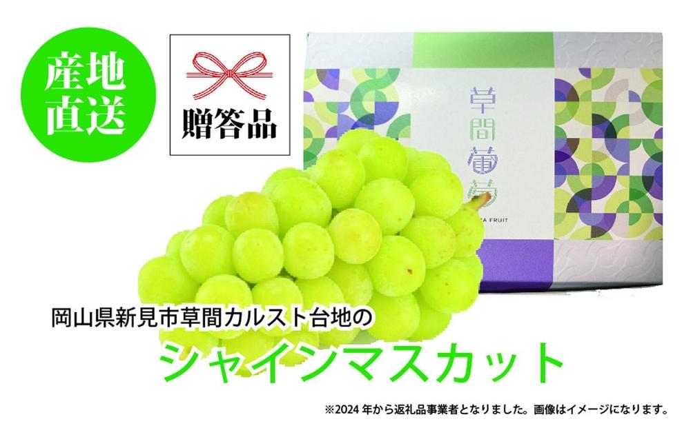 ぶどう 2025年 先行予約 カルスト台地で育ったシャインマスカット（１房）【ギフト用】贈答 ブドウ 葡萄  岡山市産 国産 フルーツ 果物 ギフト
