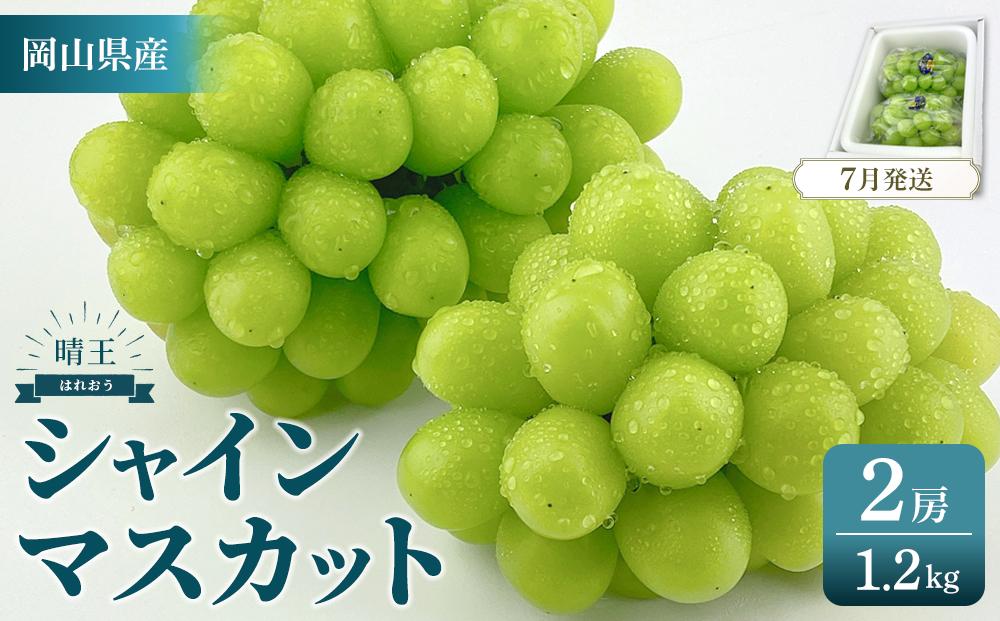 2025年予約受付中 シャインマスカット 晴王 2房 約1.2kg 7月～8月にお届け 【シャインマスカット マスカット ぶどう 葡萄 岡山県産   種無し 皮ごと食べる みずみずしい フレッシュ 温室栽培 晴れの国おかやま 果物大国 彩美菜果 岡山県 岡山市 おすすめ 人気 】